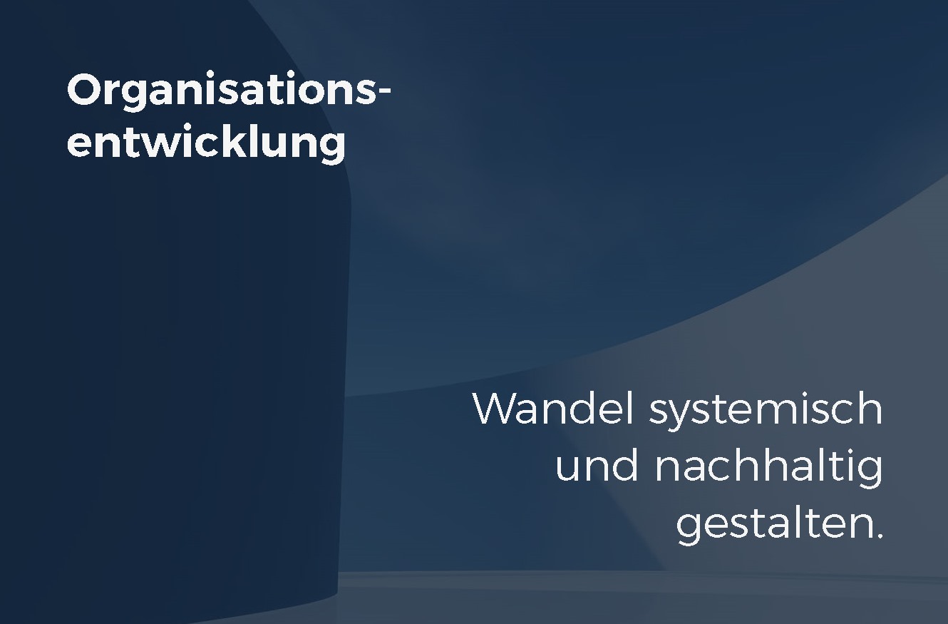 Systemische Organisationsberatung