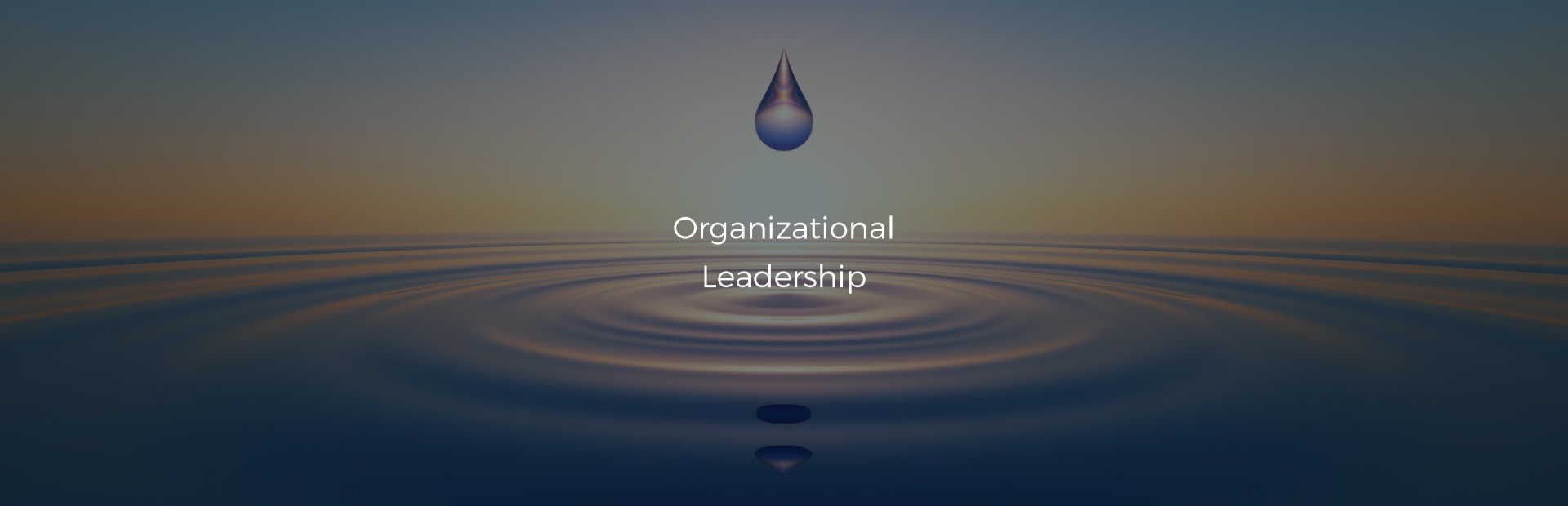 Systemische Unternehmensberatung & Organisationsentwicklung