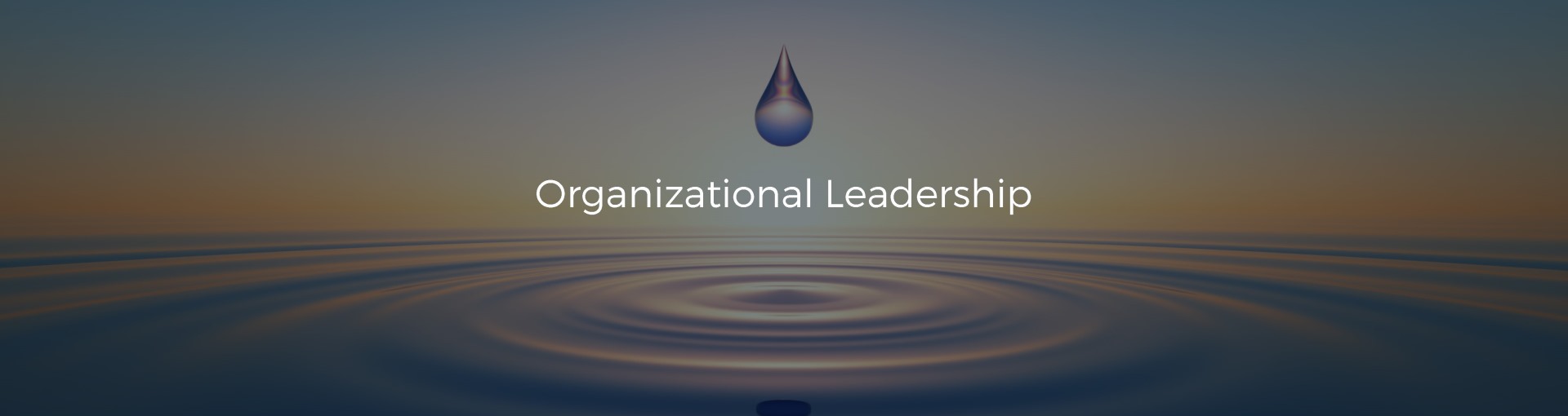 Systemische Unternehmensberatung & Organisationsentwicklung