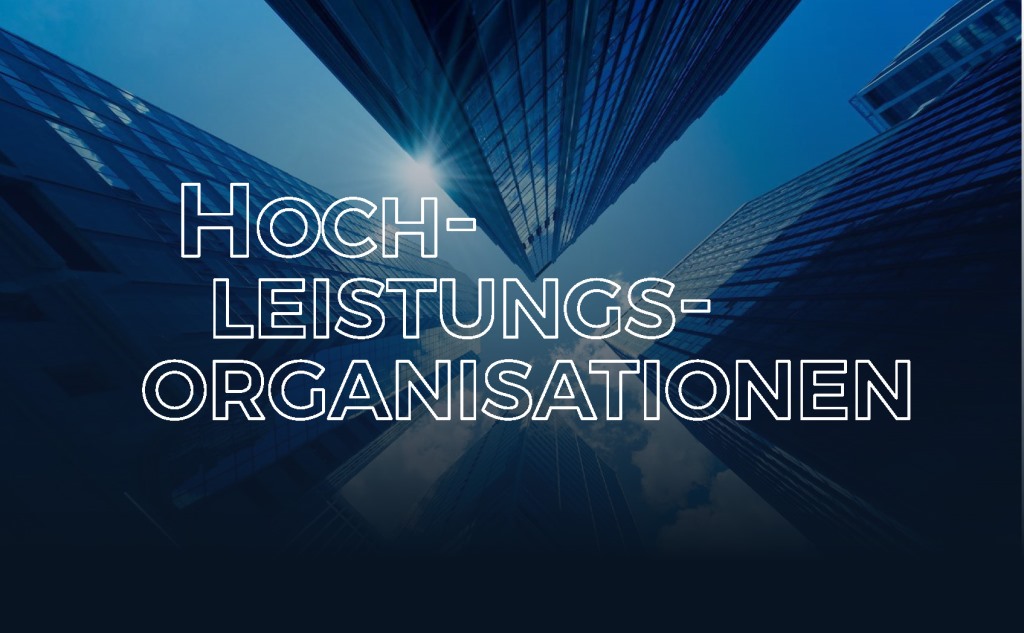 Hochleistungsorganisationen